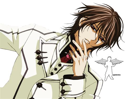 kaname kuran|Character profile for Kaname Kuran from Vampire Knight, Vol